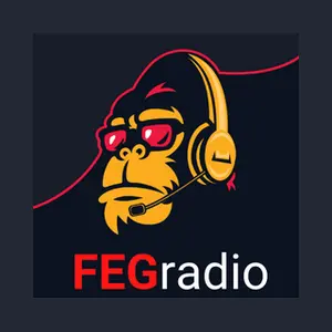 FEGradio